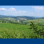 Pohled na Str�n�