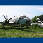 IL 14 FOTO