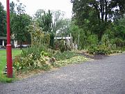 IMG_0631