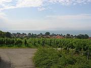 IMG_0655