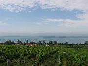 IMG_0656