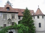 IMG_0667