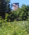 IMG_20150605_131142