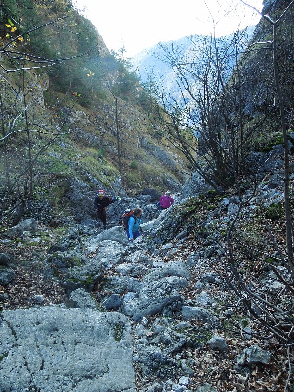 DSCN1518.JPG