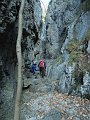 DSCN1519