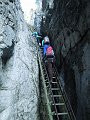 DSCN1521