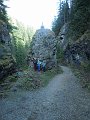 DSCN1528