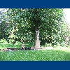 4.7. Kaple Sv. Barbory