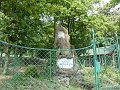 P1000129