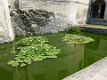 P1000461