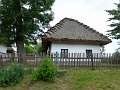 P1030503