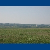 Purbach - pohled p�es r�kos� na Leithagebirge