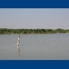 Purbach - Neusiedlersee