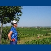 Donnerskicrchen - vinice nad jezerem