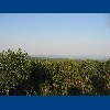 Leithagebirge - pohled z vyhl�dky na jezero