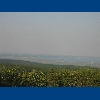 Leithagebirge - pohled z vyhl�dky na jezero