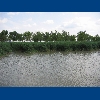 M�rbisch