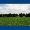 Fert�d - Esterh�zy z�mek