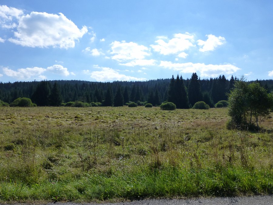 P1020331.JPG - U Černého Kříže se krajina nijak nezměnila.