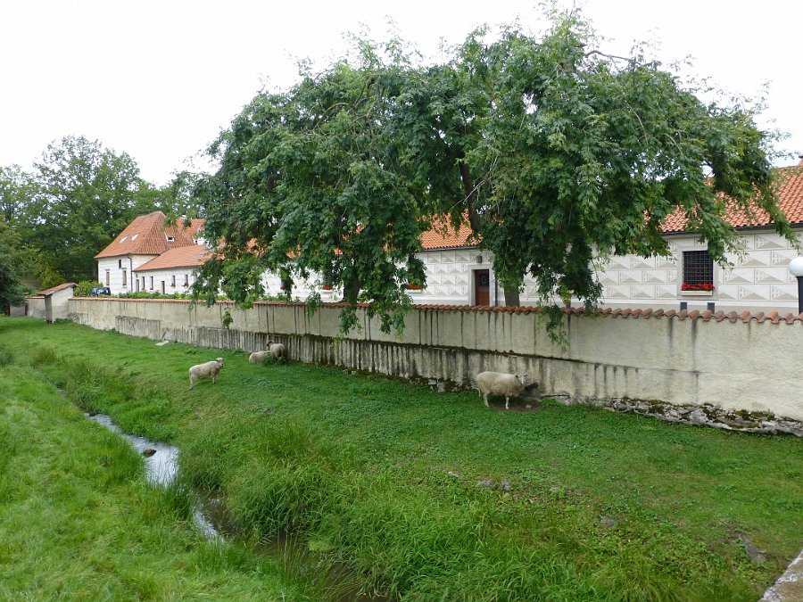 P1020482.JPG