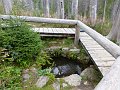 P1020560