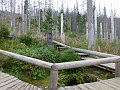 P1020561