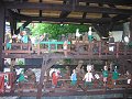 IMG_4484