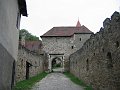 IMG_4497