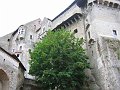 IMG_4501