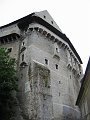IMG_4502