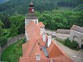 IMG_4503