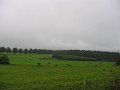 IMG_4513