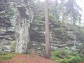 IMG_4521