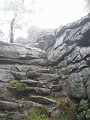 IMG_4522