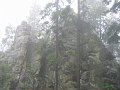 IMG_4524