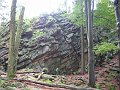 IMG_4533