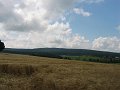 IMG_4535