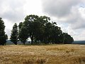 IMG_4537