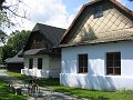 IMG_4550