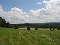 IMG_4564