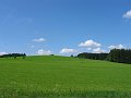 IMG_4576