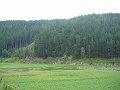 IMG_4657